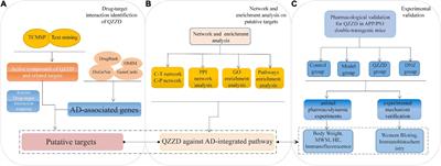 Network pharmacology analysis reveals neuroprotective effects of the Qin-Zhi-Zhu-Dan Formula in Alzheimer’s disease